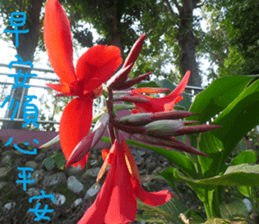 City sticker #14775606