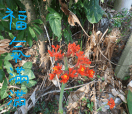 City sticker #14775607