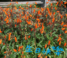 City sticker #14775609