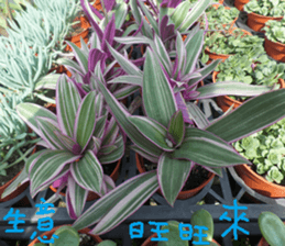 City sticker #14775610