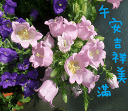 City sticker #14775611