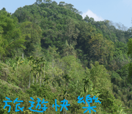 City sticker #14775612