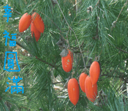 City sticker #14775613