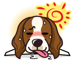 iinu - Irish Red and White Setter sticker #14775732