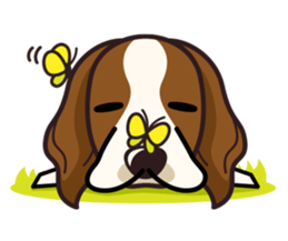 iinu - Irish Red and White Setter sticker #14775747