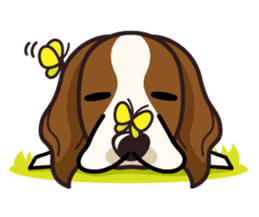 iinu - Irish Red and White Setter sticker #14775747