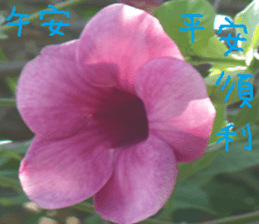 Qiong Xia sticker #14776632