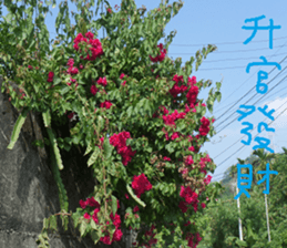 Qiong Xia sticker #14776633