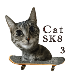 Cat sk8-3