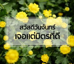 Daily Greetings.. sticker #14778223