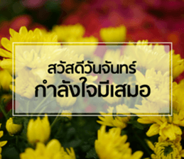 Daily Greetings.. sticker #14778225