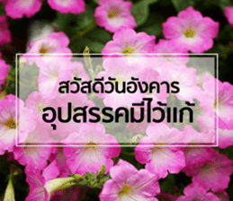 Daily Greetings.. sticker #14778226