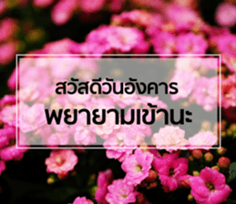 Daily Greetings.. sticker #14778227