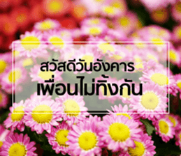 Daily Greetings.. sticker #14778228