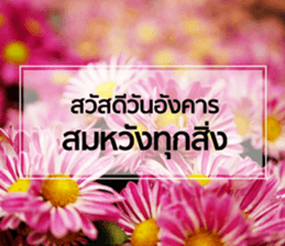 Daily Greetings.. sticker #14778229