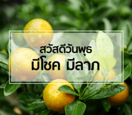 Daily Greetings.. sticker #14778230