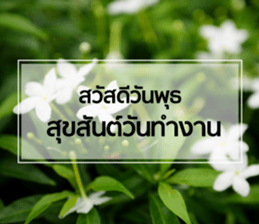 Daily Greetings.. sticker #14778231