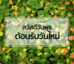 Daily Greetings.. sticker #14778233