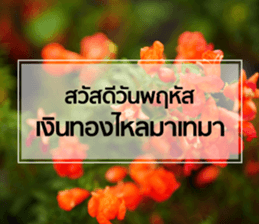 Daily Greetings.. sticker #14778234