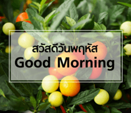 Daily Greetings.. sticker #14778235