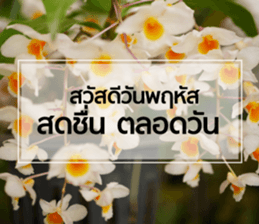 Daily Greetings.. sticker #14778236