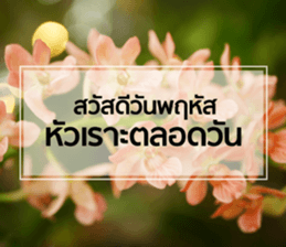 Daily Greetings.. sticker #14778237