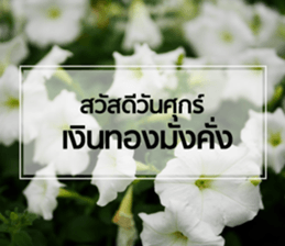 Daily Greetings.. sticker #14778238