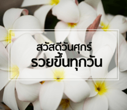 Daily Greetings.. sticker #14778239