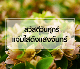 Daily Greetings.. sticker #14778240