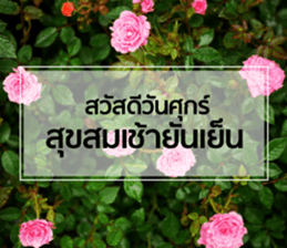 Daily Greetings.. sticker #14778241