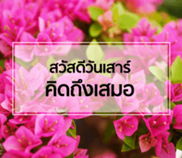 Daily Greetings.. sticker #14778242