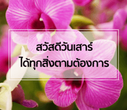 Daily Greetings.. sticker #14778243