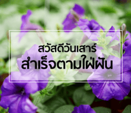 Daily Greetings.. sticker #14778245