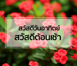 Daily Greetings.. sticker #14778246