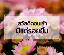 Daily Greetings.. sticker #14778250