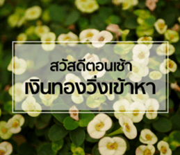 Daily Greetings.. sticker #14778252