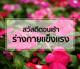 Daily Greetings.. sticker #14778253