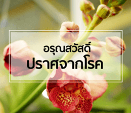 Daily Greetings.. sticker #14778254