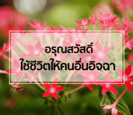 Daily Greetings.. sticker #14778255