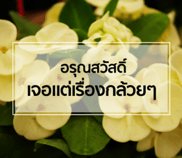 Daily Greetings.. sticker #14778256