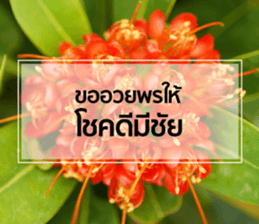 Daily Greetings.. sticker #14778260