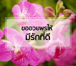 Daily Greetings.. sticker #14778261