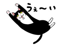 A little fat cat animation 2 sticker #14778311