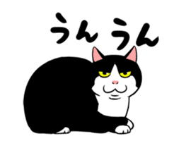 A little fat cat animation 2 sticker #14778312