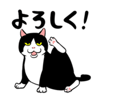 A little fat cat animation 2 sticker #14778314