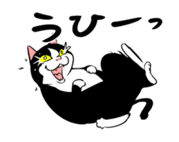 A little fat cat animation 2 sticker #14778318