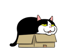 A little fat cat animation 2 sticker #14778325
