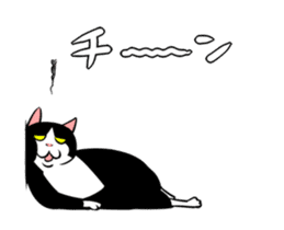 A little fat cat animation 2 sticker #14778327