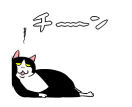 A little fat cat animation 2 sticker #14778327