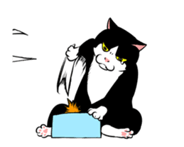 A little fat cat animation 2 sticker #14778328
